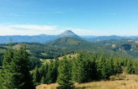 Blick vom Hennesteck (c)Petra Zeh, © Mostviertel Blick vom Hennesteck (c)Petra Zeh, © Mostviertel