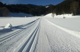 Panoramaloipen, © Nordisches Zentrum St. Aegyd Panoramaloipen, © Nordisches Zentrum St. Aegyd