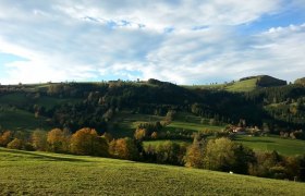 Ausblick auf die Grestner Höhe, © Karas Landschaft mit grünen Hügeln und Bäumen unter einem bewölkten Himmel.