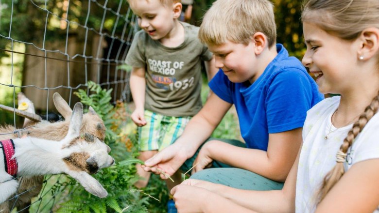 Urlaub am Zwergerlhof, © schwarz-koenig.at Urlaub am Zwergerlhof, © schwarz-koenig.at