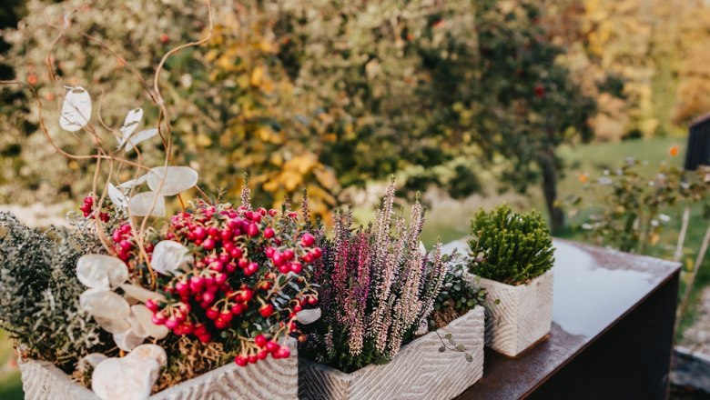 Waldjuwel Mostviertel, © Sabine Wieser Fotografie Waldjuwel Mostviertel, © Sabine Wieser Fotografie