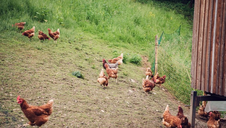 Biobauernhof Unterkirchen, © Familie Hirner Biobauernhof Unterkirchen, © Familie Hirner