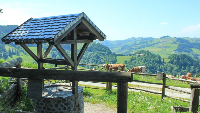 Franzenreith, © zVg Gemeinde Randegg Franzenreith, © zVg Gemeinde Randegg