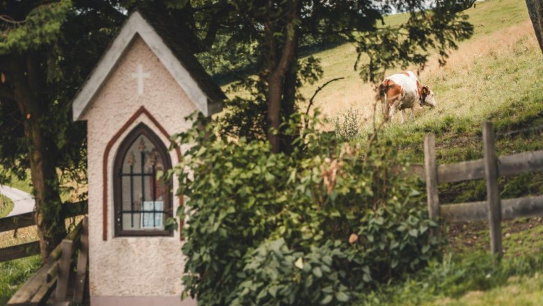 Tavern Almhaus Hochkogel, © Gerald Demolsky Tavern Almhaus Hochkogel, © Gerald Demolsky