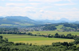 Weinburg, © Gemeinde Weinburg Panorama einer grünen Landschaft mit Hügeln, Feldern und einem Fluss.