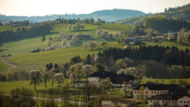 Photo point Zeilinger, © schwarz-koenig.at Photo point Zeilinger, © schwarz-koenig.at
