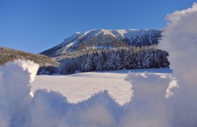 Ötscher Tourismusverband im Winter, © (C) Marika Roth