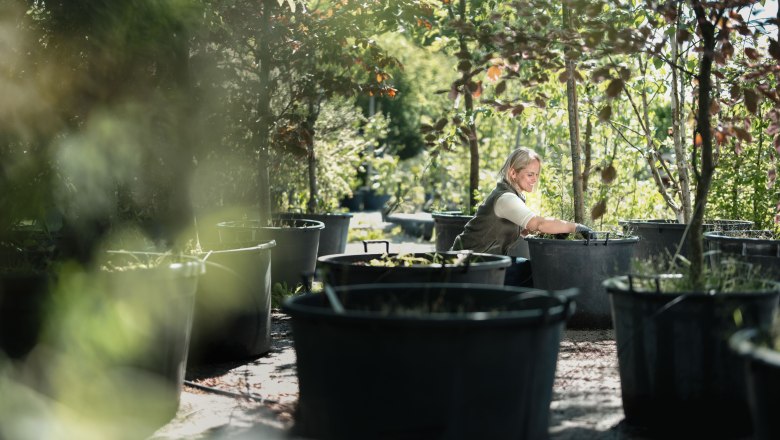 Starkl adventure garden, © Moststraße, dochbodnliacht Starkl adventure garden, © Moststraße, dochbodnliacht