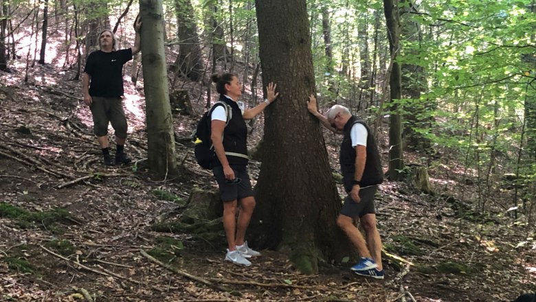 Waldbaden, © Walter Hasslinger Waldbaden, © Walter Hasslinger