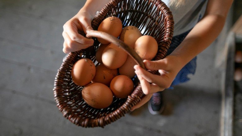 Urlaub am Zwergerlhof, © schwarz-koenig.at Urlaub am Zwergerlhof, © schwarz-koenig.at