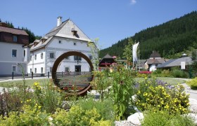 Amonpark Lunz am See armchair, © Marktgemeinde Lunz am See Amonpark Lunz am See armchair, © Marktgemeinde Lunz am See