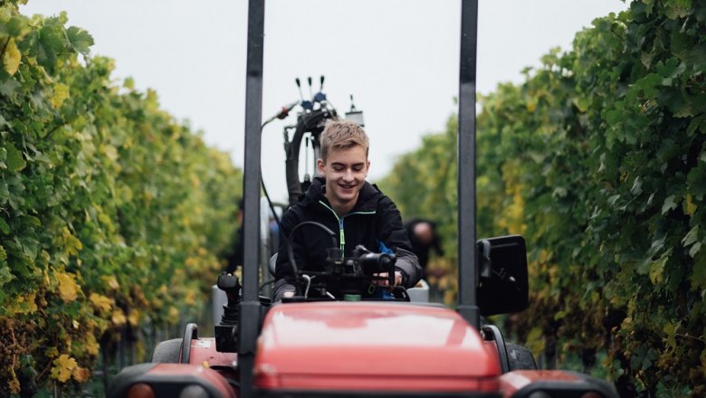 Weinkultur Preiss, © Julius Hirtzberger Weinkultur Preiss, © Julius Hirtzberger