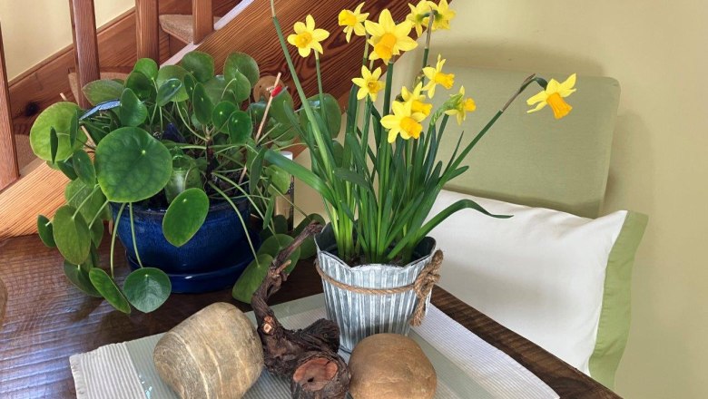 Guest house on the vineyard, © Familie Schlager Guest house on the vineyard, © Familie Schlager