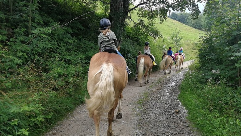 Taster riding Bodenhof, © Roman Zöchlinger Children riding horses on a forest path.