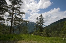 Blick zur Voralpe, © Mostviertel Blick zur Voralpe, © Mostviertel