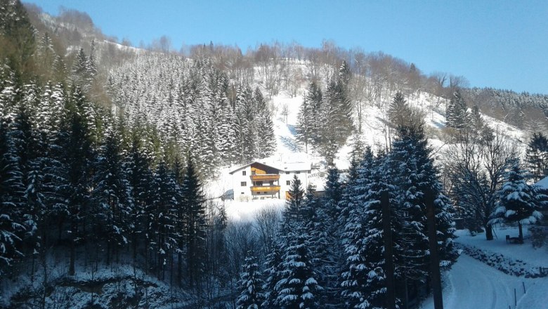 House Landscape, © Reisenbichler House Landscape, © Reisenbichler