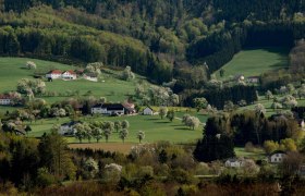 Fotopunkt Kematen, © schwarz-koenig.at Fotopunkt Kematen, © schwarz-koenig.at