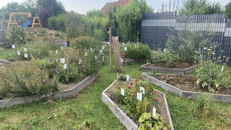 Herbal star, © Barbara Weilguni Herbal star, © Barbara Weilguni