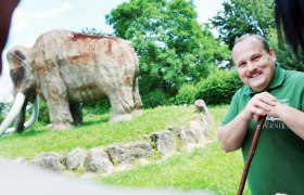 Prehistoric Museum Nussdorf ob der Traisen, © Mostviertel Tourismus/Weinfranz.at A man smiles in front of a large mammoth statue outdoors.