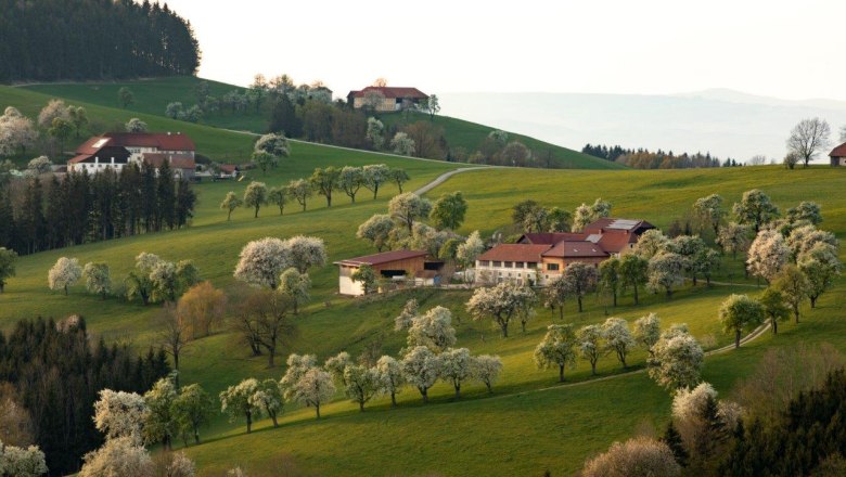 Fotopunkt St. Peter in der Au, © schwarz-koenig.at Fotopunkt St. Peter in der Au, © schwarz-koenig.at