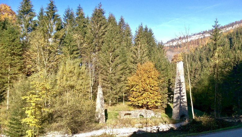 Die wilde Natur Göstlings, © Sonja Lange Die wilde Natur Göstlings, © Sonja Lange