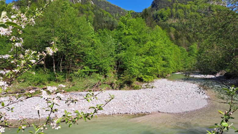 Ferienwohnung Urmannsau, © Melitta Praus Ferienwohnung Urmannsau, © Melitta Praus