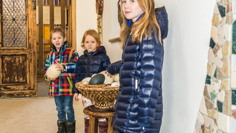 Determine eggs, © Otto Brandl Determine eggs, © Otto Brandl