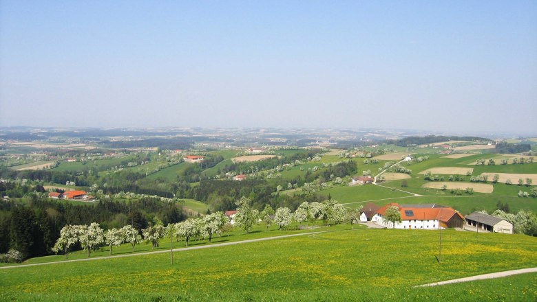 Aussichtspunkt "Mostviertel-Blick", © Gemeinde Behamberg Aussichtspunkt "Mostviertel-Blick", © Gemeinde Behamberg