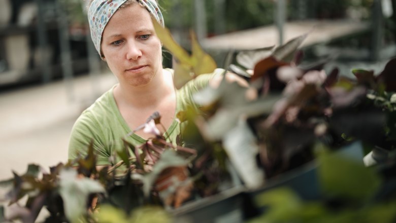 Starkl adventure garden, © Moststraße, dochbodnliacht Starkl adventure garden, © Moststraße, dochbodnliacht