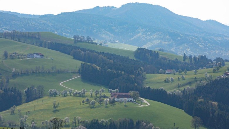 Photo point Mostviertel, © schwarz-koenig.at Photo point Mostviertel, © schwarz-koenig.at