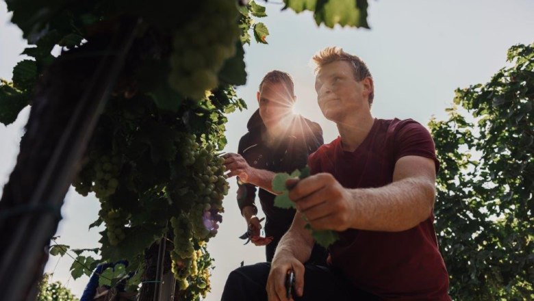 Obsthof Altenriederer, © Monika Jungwirth, Karma & Pitch Obsthof Altenriederer, © Monika Jungwirth, Karma & Pitch