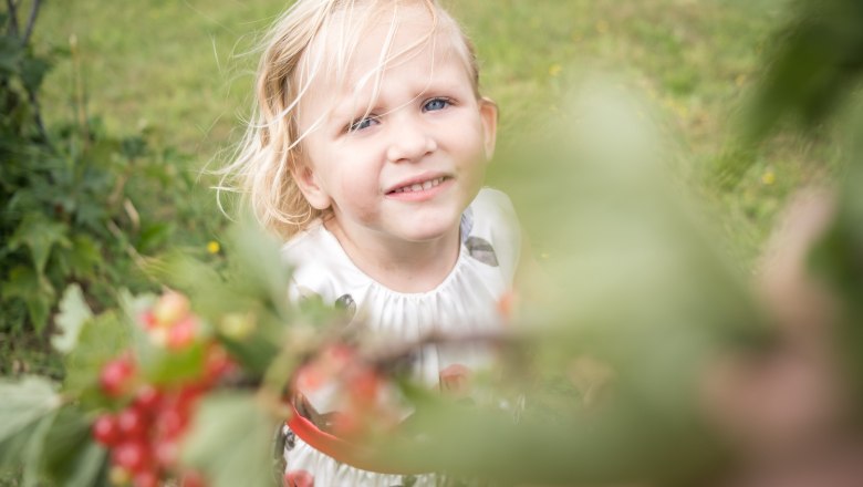 Obsterlebnisweg, © Mostlandhof Obsterlebnisweg, © Mostlandhof