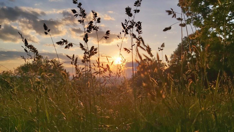 Evening mood, © Familie Weinbacher Evening mood, © Familie Weinbacher