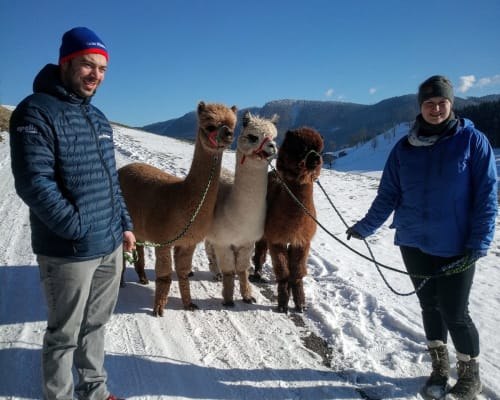 Organic farm MItterhirschberg, © Familie Schweighuber Organic farm MItterhirschberg, © Familie Schweighuber