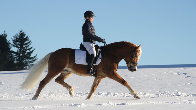 Schaglhof im Winter, © Schaglhof Schaglhof im Winter, © Schaglhof