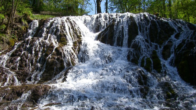 Schleierwasserfall, © Gemeinde Hohenberg Ein Wasserfall fließt über moosbedeckte Felsen in einem Wald.