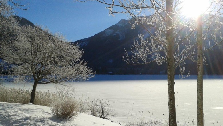 Winterstimmung, © Fam. Mayr Winterstimmung, © Fam. Mayr