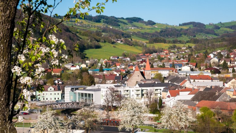Ortsansicht Rabenstein, © Markus Haslinger - www.extremfotos.com Panorama von Rabenstein mit blühenden Bäumen im Vordergrund und Hügeln im Hintergrund.