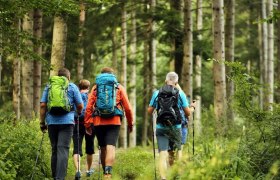 Pielachtaler Rundwanderweg, © weinfranz.at Pielachtaler Rundwanderweg, © weinfranz.at