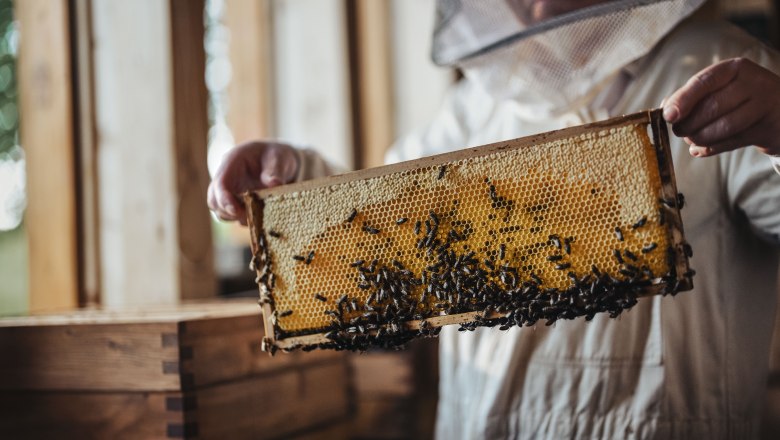 Die Zeidler, © Moststraße, dochbodnliacht Die Zeidler, © Moststraße, dochbodnliacht