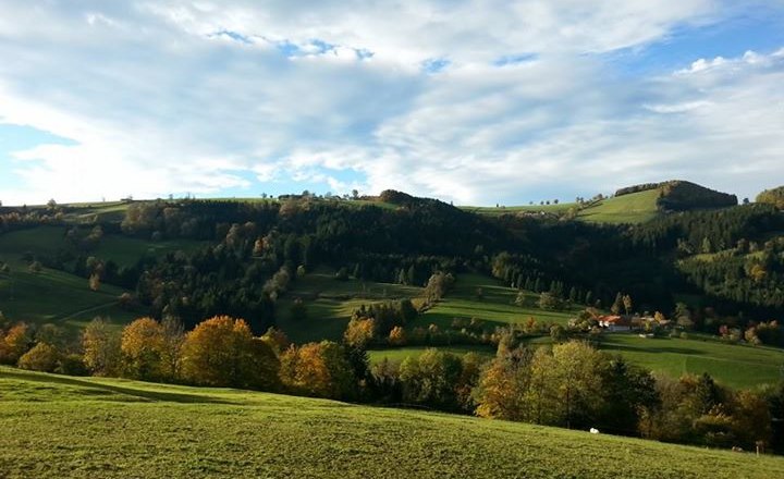 View of the Grestner Höhe, © Karas Landscape with green hills and trees under a cloudy sky.