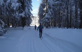 Wastlloipe, © Mostviertel Wastlloipe, © Mostviertel