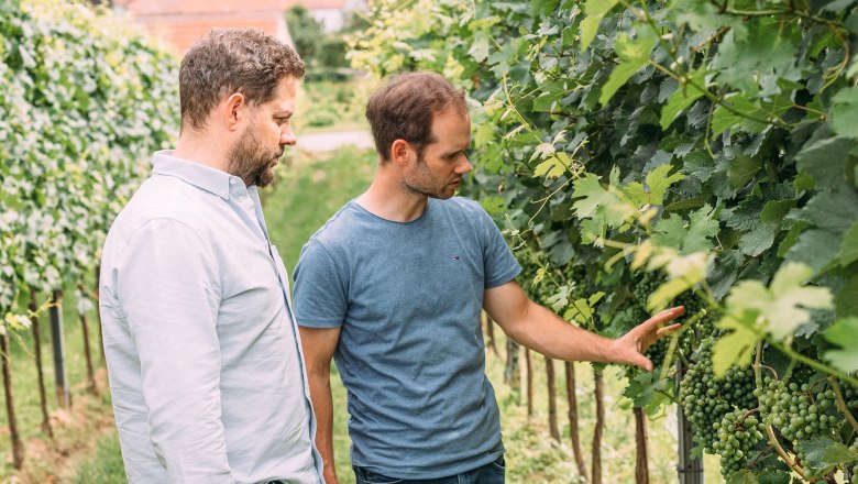 Mike Nährer und Tom Dockner erforschen alkoholfreie Getränke, © Mara Hohla Mike Nährer und Tom Dockner erforschen alkoholfreie Getränke, © Mara Hohla