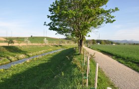 Wildobstlehrpfad, © zVg Gemeinde Ruprechtshofen Ein Weg entlang eines Baches mit Bäumen und Feldern, unter blauem Himmel.