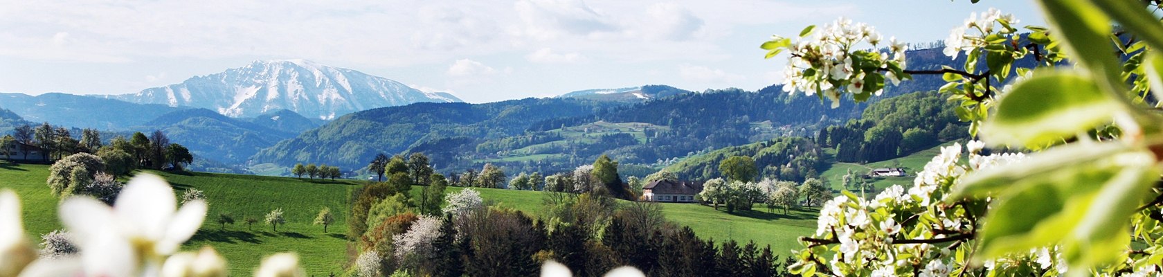 Frühling im Mostviertel, © Mostviertel Tourismus, weinfranz.at Frühling im Mostviertel, © Mostviertel Tourismus, weinfranz.at