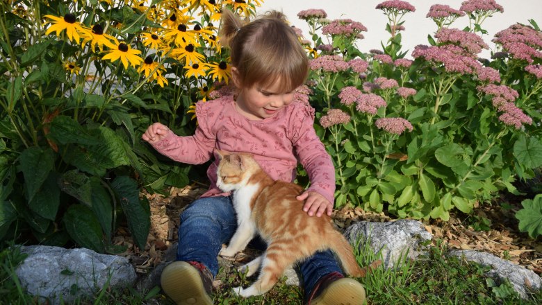 Urlaub am Bauernhof Höbarten (4), © Höbarten Urlaub am Bauernhof Höbarten (4), © Höbarten