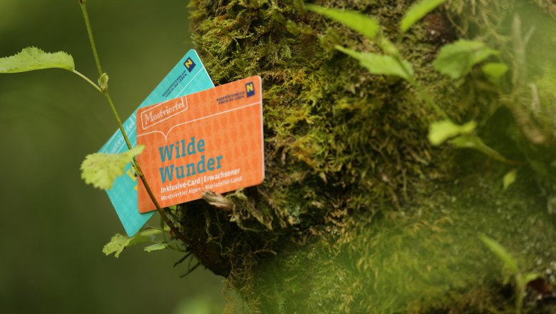 Die Ferienwohnung Leitner ist ein Wilde Wunder Card-Gastgeber., © Mostviertel Tourismus GmbH Die Ferienwohnung Leitner ist ein Wilde Wunder Card-Gastgeber., © Mostviertel Tourismus GmbH