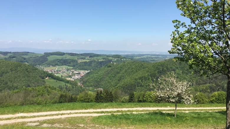 Aussicht Ferienhaus Hochbrand, © Familie Haag Aussicht Ferienhaus Hochbrand, © Familie Haag