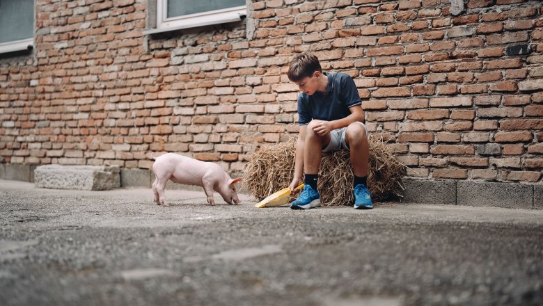 Genusshof Unterberger, © Moststraße, unterbodnliacht Genusshof Unterberger, © Moststraße, unterbodnliacht