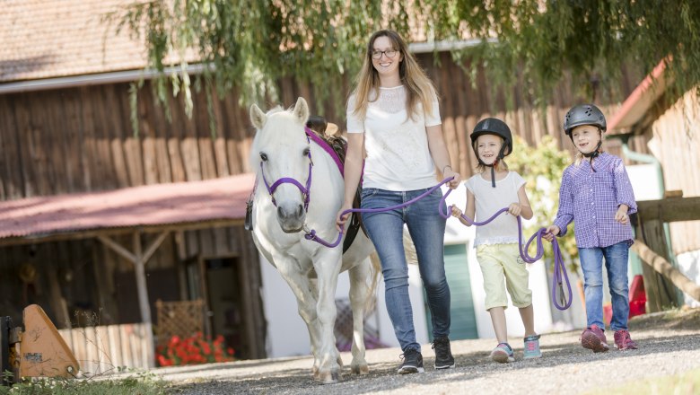 Reitunterricht, © schwarz-koenig.at Reitunterricht, © schwarz-koenig.at